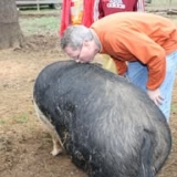 Well, I’ll Kiss a Pig!