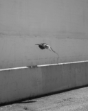 “Driven From the Garden” by Photographer David Slegers