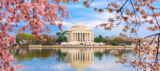 Awesome Places You Must Show Your Kids in Washington D.C.