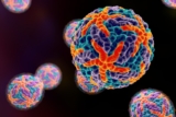 How close are we to new treatments for dengue? · Break Dengue
