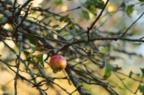 When Discipleship Starts to Stall