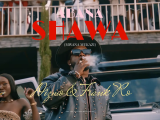 Dizmo ft. Frank Ro – Abana Shawa (Official Video)