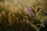 4 Reasons the Thing You’re Avoiding Is the Most Important Thing to Do