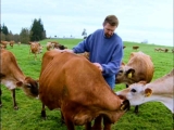 A Family Tradition (video) – Cooking Up a Story
