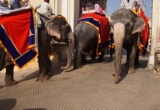 Two men arrested for brutally hitting an elephant in India