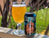 Elysian Brewing Jacktail Hazy IPA