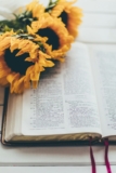 Which Bible Translation is Best? – life with cherie