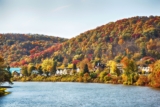 Leaf-Peeping Season Is Almost Here. These Interactive Maps Can Help You Figure Out When Fall Foliage Will Peak in Your Area