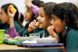 Guest Post: USDA’s new “Harvest to Hallways” school food initiative falls short of needed investments