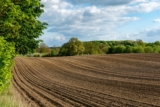 John Deere 7000 Planter: Features and Specs