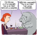 June 2025 | Mile Nerd