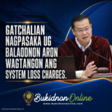 Gatchalian Files Bill Seeking to End System Loss Charges