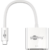 Goobay USB-C to DVI Adapter