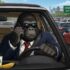 Can You Get Car Insurance with a Suspended License?