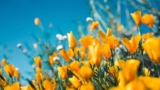37 Inspirational March Quotes for a Happy Month