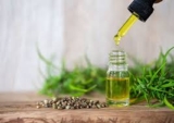 5 Facts About CBD Oil and Products