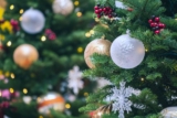 Bed Bug-Free Holiday Travel Tips