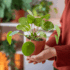 How to Increase Beneficial Bacteria