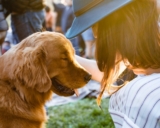 11 Natural Ways To Build Trust With Your Dog