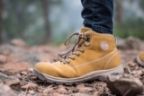 How To Clean Dog Poop Off Shoes?
