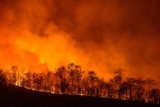 How to escape a wildfire: a hiker’s guide