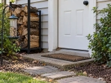 How to Get Rid of Mice and Rats in Your Home