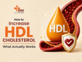 How to Increase HDL Cholesterol Naturally and Safely