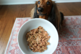How to Start Feeding Raw Dog Food Safely: 5 Steps