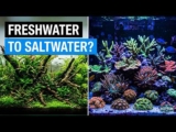 How Can The Reef Keeping Hobby Grow?