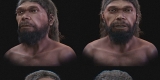 The 315,000-Year-Old Homo sapiens Face Is Not One Person