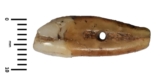 A Human Tooth, Drilled and Worn, From Late Neolithic Serbia