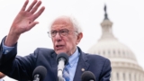 The Future of the Left After Sanders