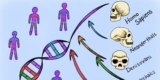 Two Ghosts in the Genome
