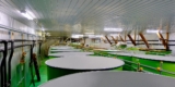 Sake Industry News. Issue #156.