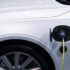 The pioneer of flying insect remote surveillance just got even better – introducing the flyDetect® X.