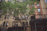My landlord is taking me to court for not paying rent and I’m planning on using AI to prepare for the case. Is that a good idea?