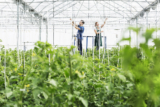 By the numbers: agriculture’s resource-intensive reality