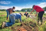 Opinion: A More Resilient Food System Starts at the Community Level