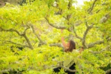 10 Things I Still Believe About Health & Wellness (After Debunking Everything I Now Believe Is Nonsense)