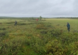 Ecosocial futures from permafrost wetlands – Engagement