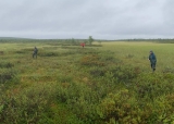 Ecosocial futures from permafrost wetlands – Engagement