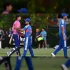 How to Make Spicy Salsa Roja