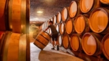How the MICHELIN Guide Is Redefining Excellence in Wine Tourism