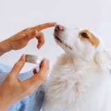 how to treat hot spots on dogs at home​