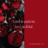 Love is Patient – Amy Ruble