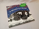 A Wonderful Wood by Elizabeth Davies & Lily Fossett – The Strawberry Post