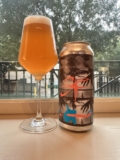 Aslin Brewing Company Summer Fruittata – Best Beer Blog