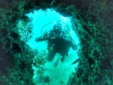 First Step of Scuba Diving: Discover Scuba Diving