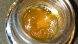 Double Motor Boat Live Resin