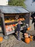 Local Pumpkins 2022 – Mama Flora
